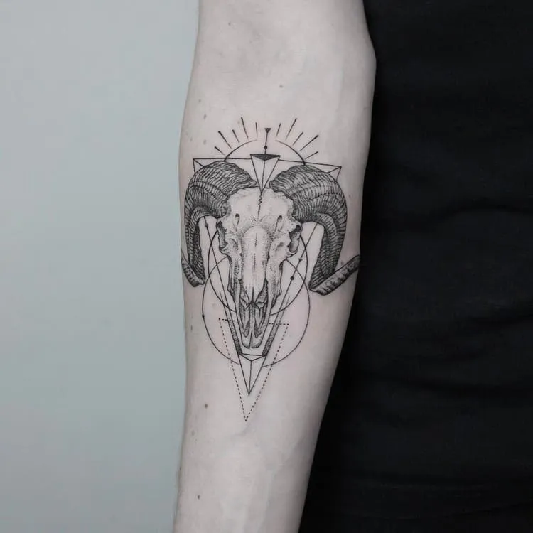 Bighorn Sheep Skull and Geometric Shapes
