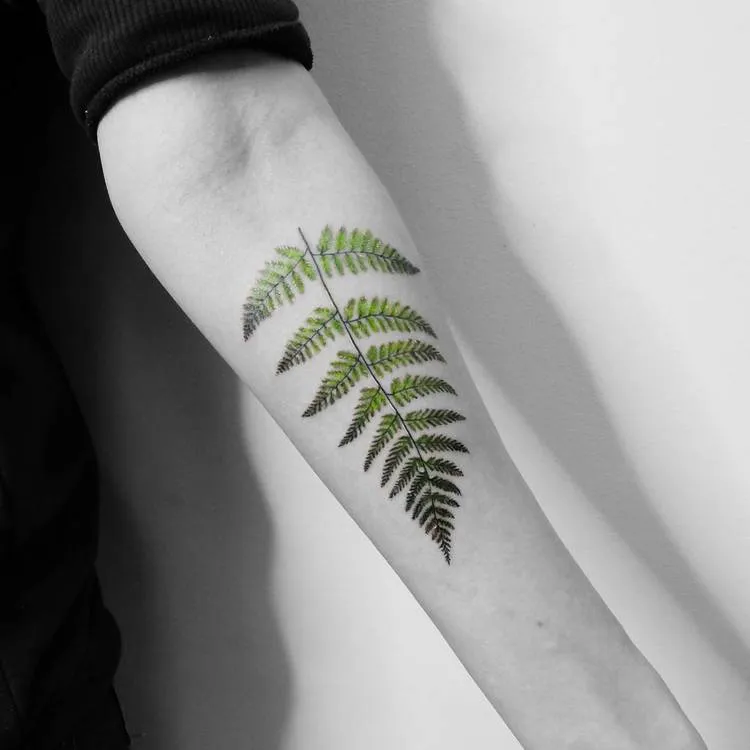 Realistic Fern Tattoo by Vitaly Kazantsev