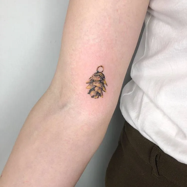 Pine Cone Tattoo by hnnhtattoo