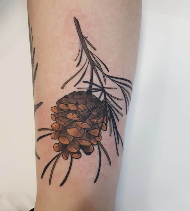 30 Pine Cone Tattoo Designs To Celebrate Beauty of Nature TattooAdore