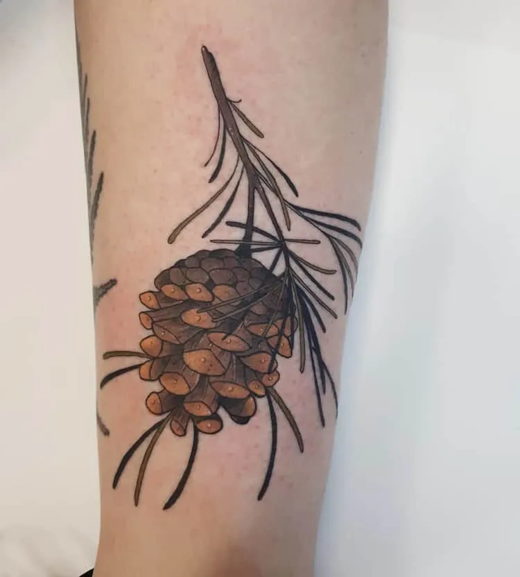 Pine Cone Tattoo by diana_tattoos