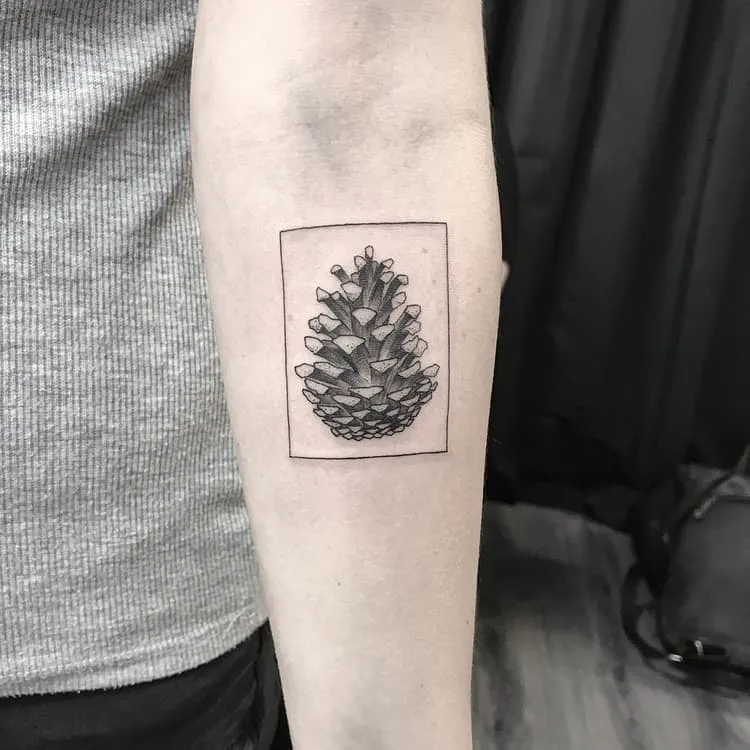 30 Pine Cone Tattoo Designs To Celebrate Beauty of Nature