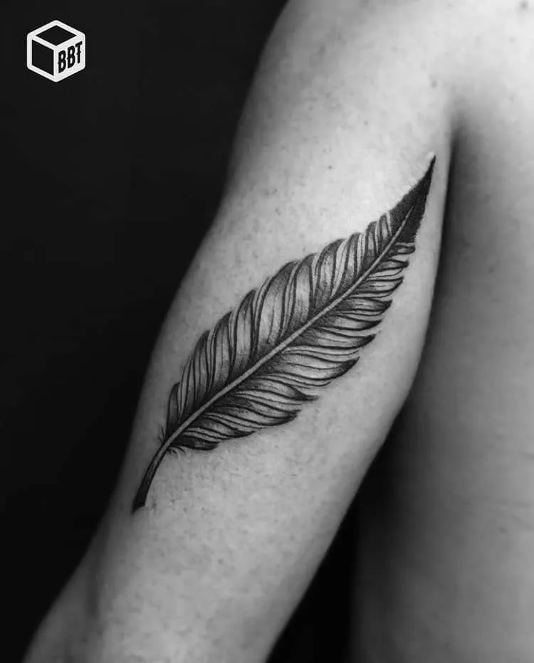 Feather Tattoo by blackboxtattoo