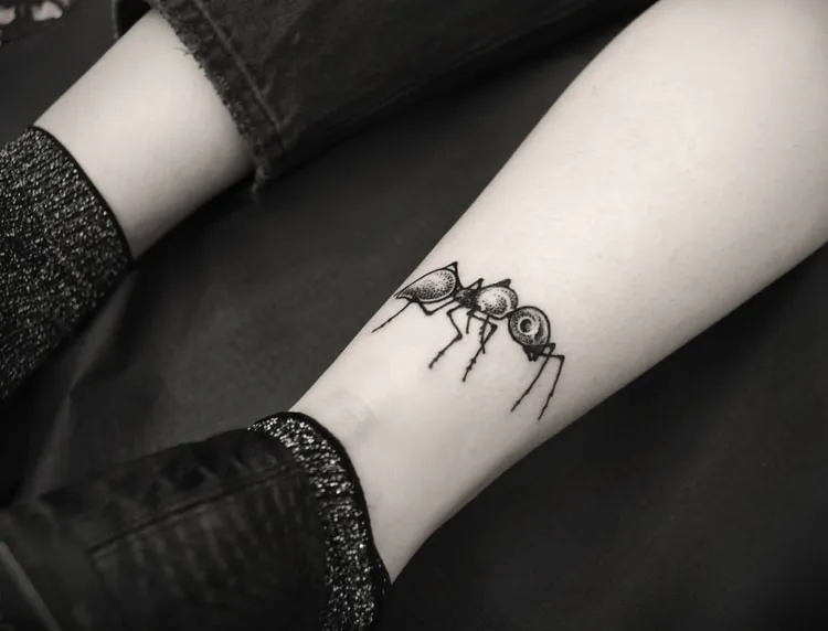 Ant Tattoo by ___ether___