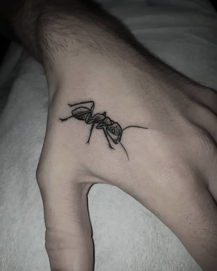 Ant Tattoo by elleallen_art