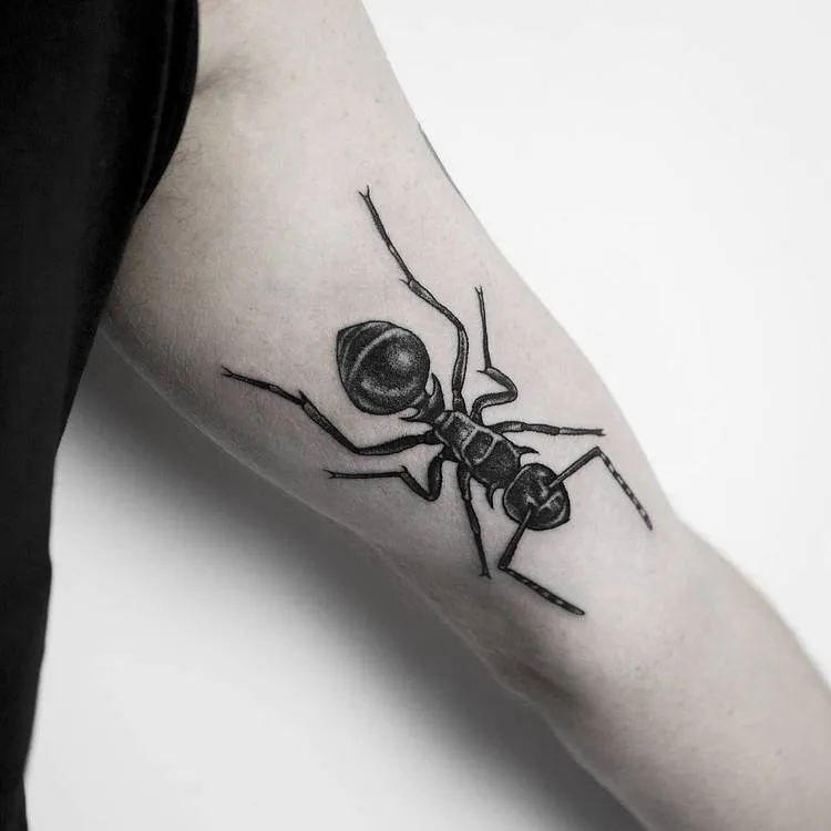 24 Creative Ant Tattoo Ideas and Meanings