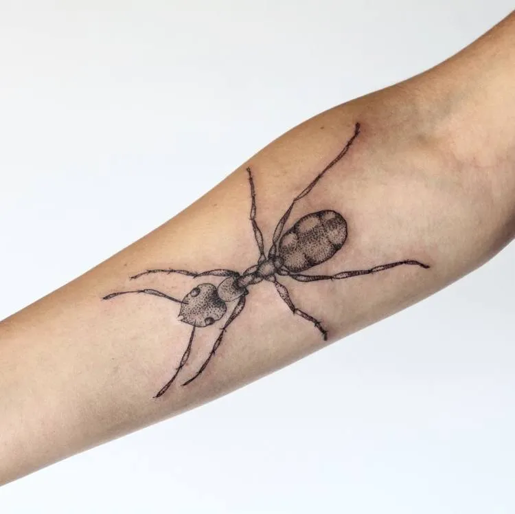 Ant Tattoo by finerach