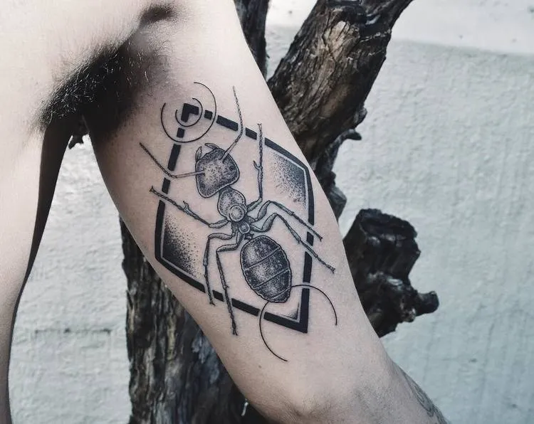 Ant Tattoo by metamorphosistattoo