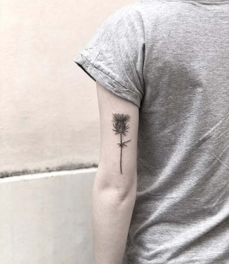 Thistle Tattoo by Mary Tereshchenko
