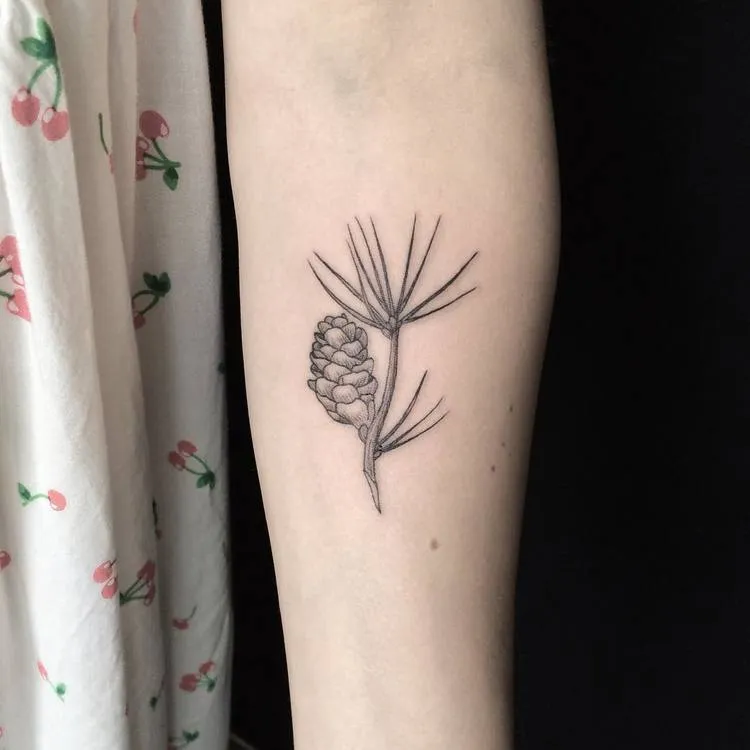 Pine Cone Tattoo by Mary Tereshchenko