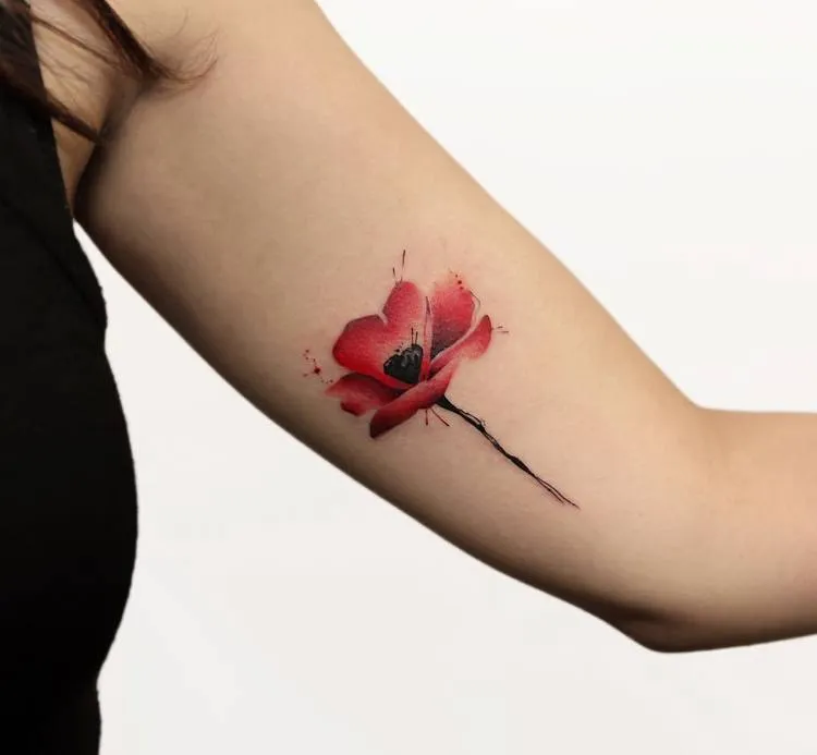 60 Beautiful Poppy Tattoo Designs for Women