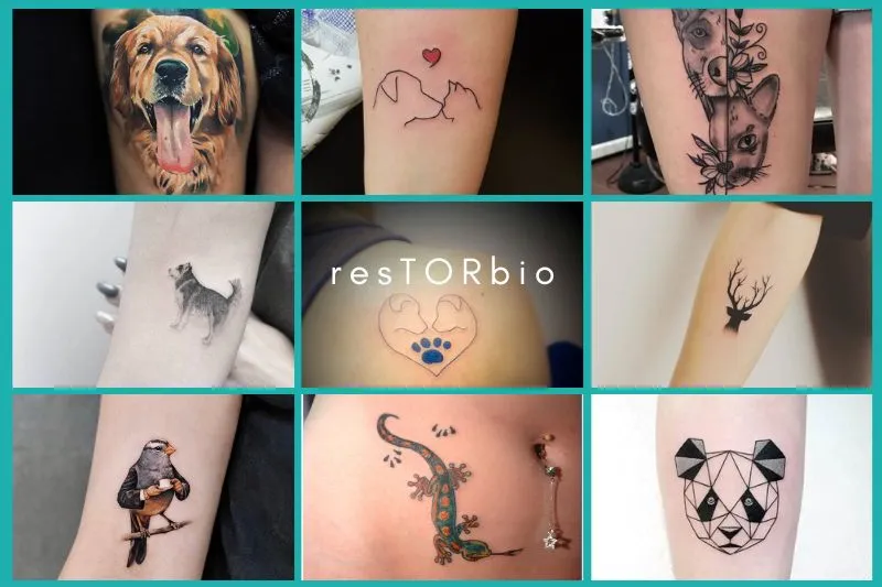 Animal and Pet Tattoo Designs