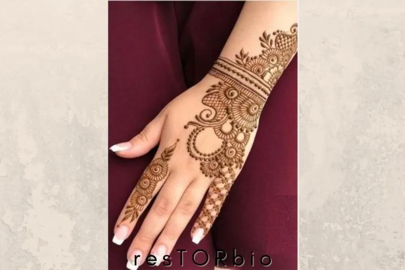Beautiful Back Hand Mehndi