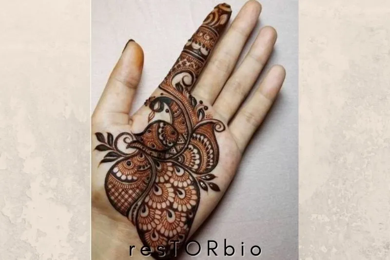Beautiful Mehndi Design With Paisleys