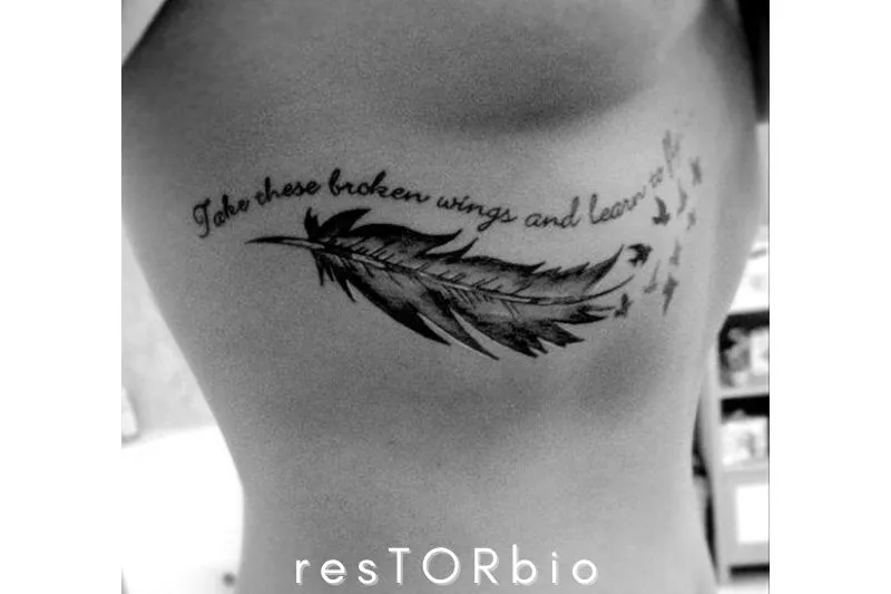 Broken feathers are a sign of a bird's distress