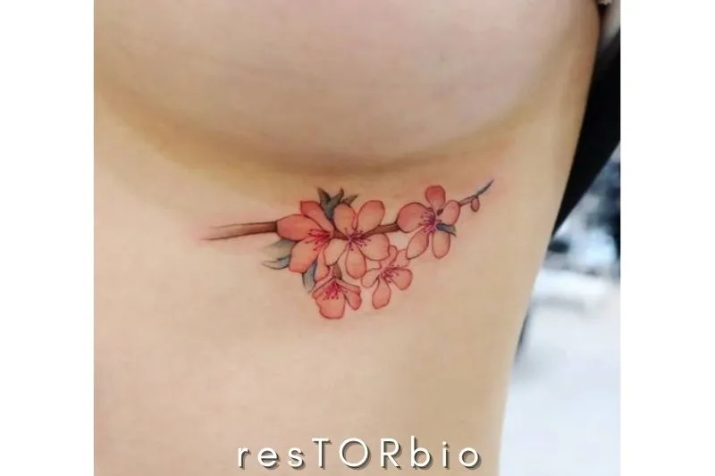 Colorful Blossoms