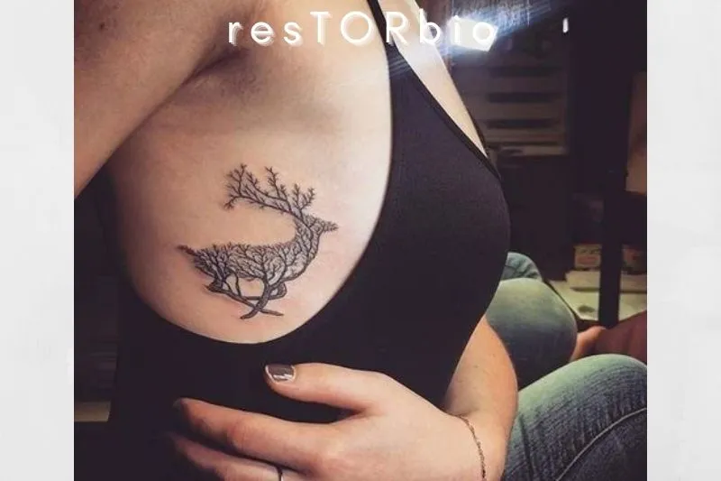 Deer Tattoo
