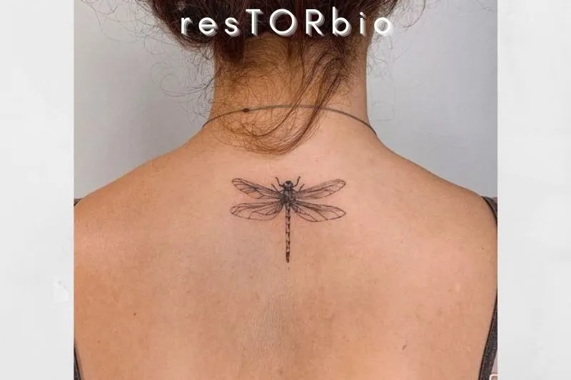 Dragonfly
