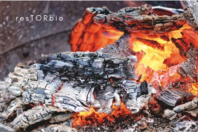 How To Make Tattoo Ink From Ashes