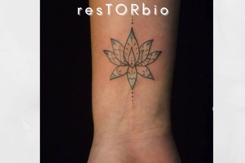 Lotus Flower