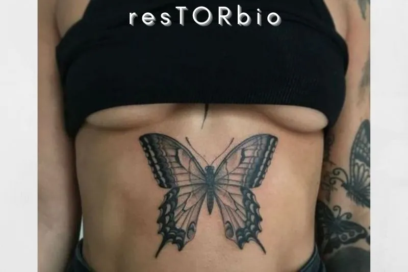 Monarch Butterfly