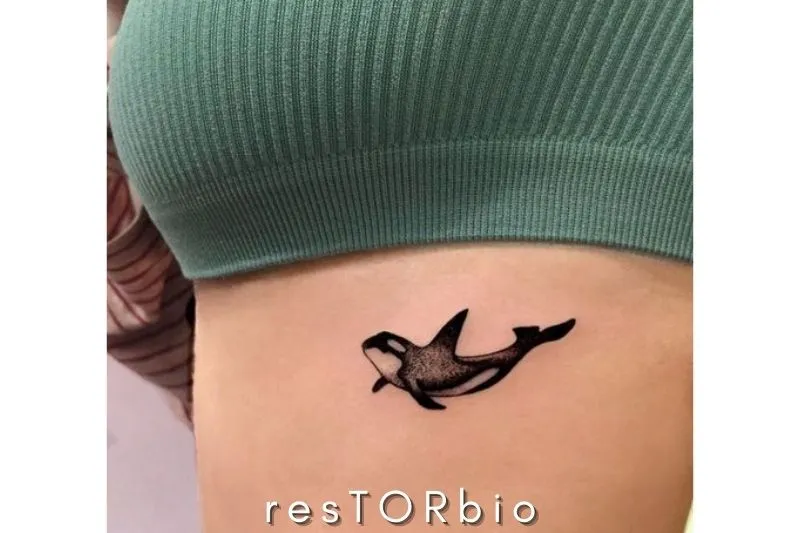 Orca Whale