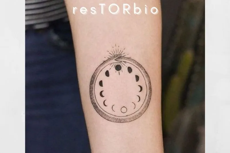 Ouroboros Snake And Phases Of Moon