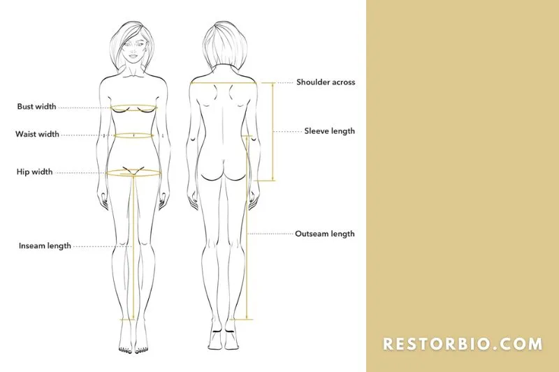 Outer shoulders, biceps, and outer thighs