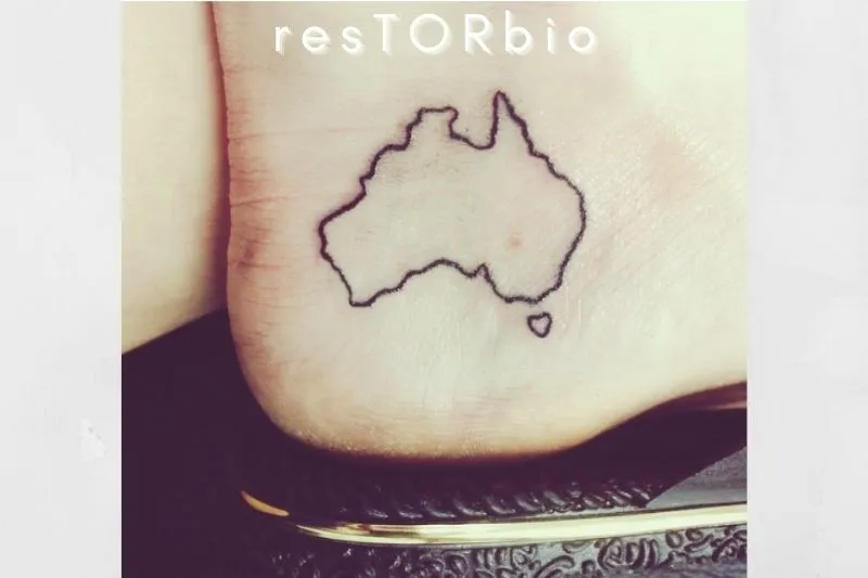 Outline of a country or state