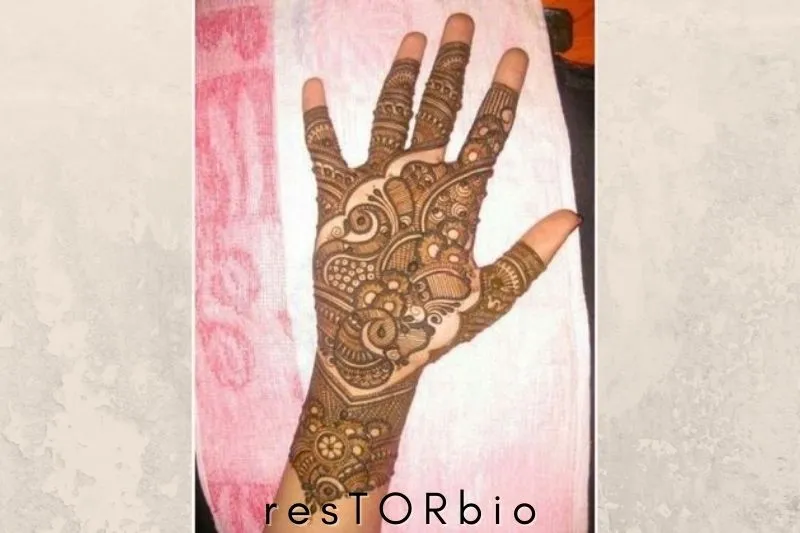 Paisley And Peacock Mehendi Design