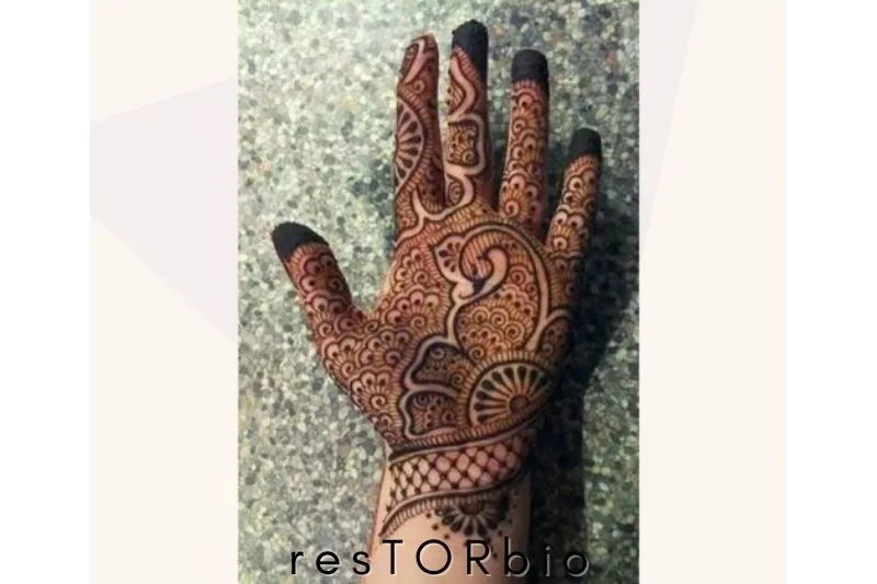 Paisley Peacock Mehandi Design