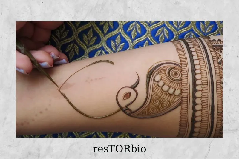 Peacock Henna