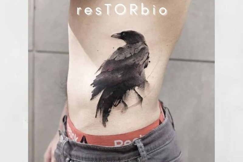 Ravishing Raven