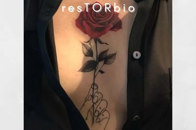 Red Rose