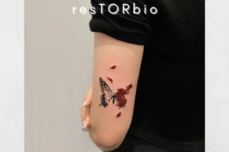 Roses And Butterfly