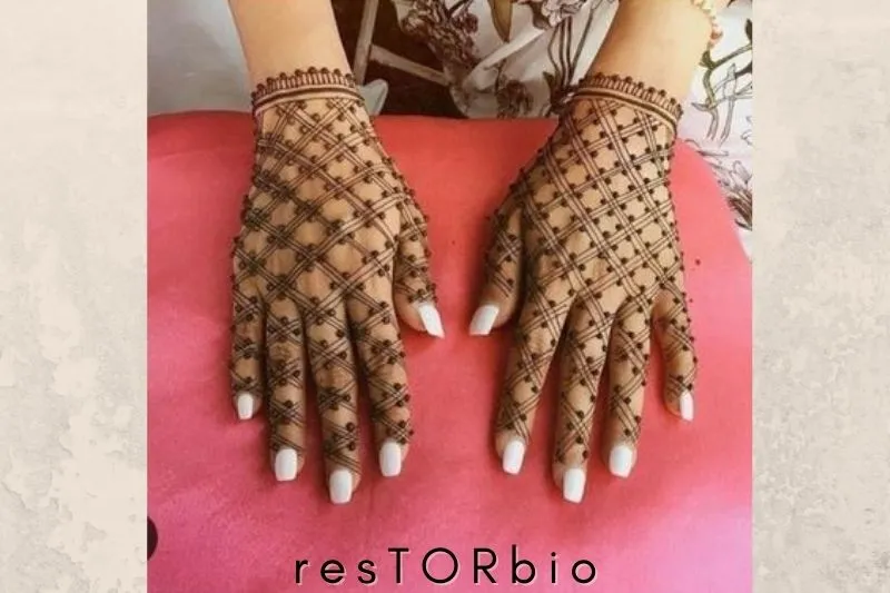 Simple Mehndi Design with Net