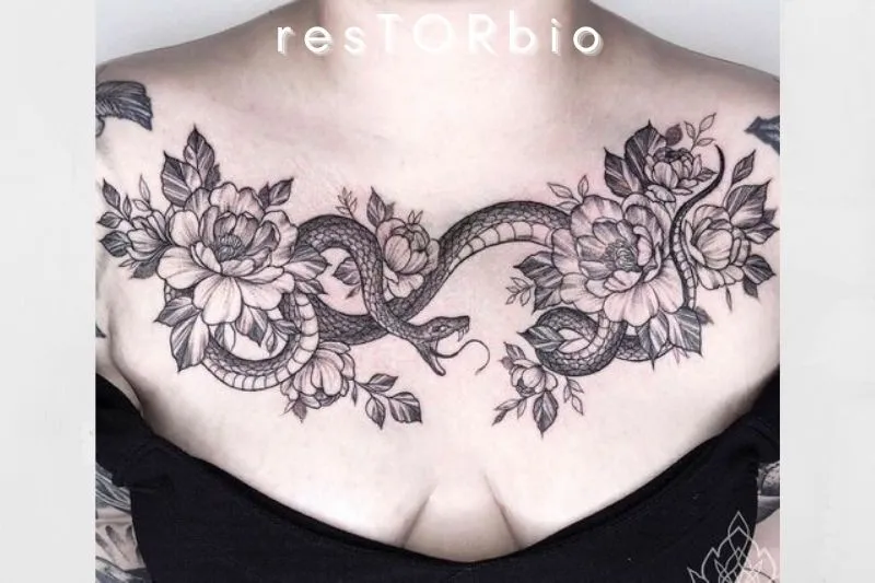 Snake in Floral Vine