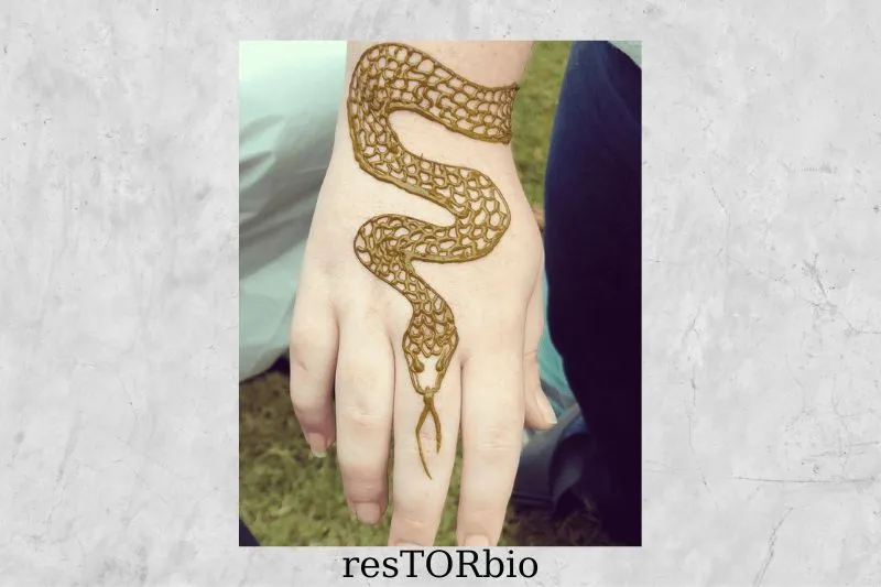 Snakes and Lizards Henna