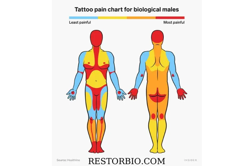 Tattoo Pain Chart