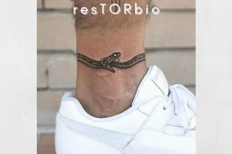 The Ouroboros Tattoo