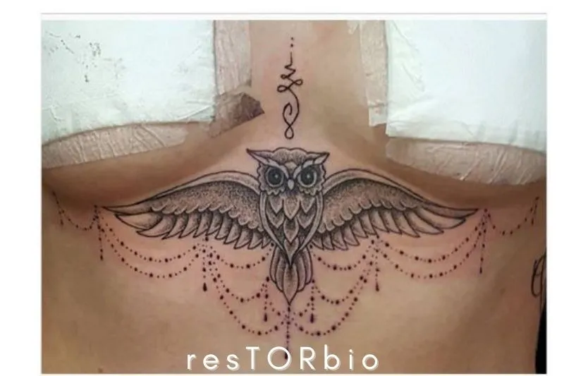 The wise owl