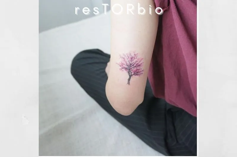 Tiny tree