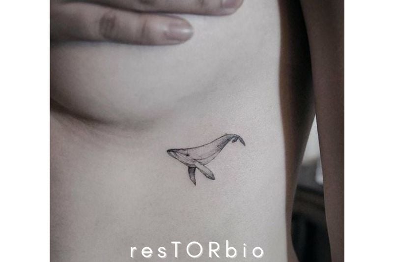 Whale Tattoo