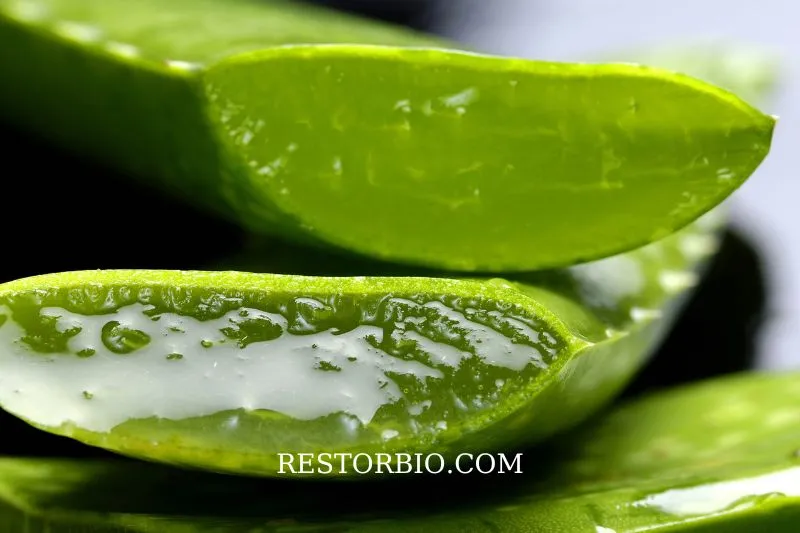 Yogurt with Aloe Vera Gel Cream