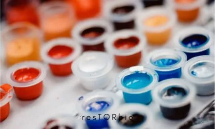 How To Make Homemade Tattoo Ink – We reveal some Tattoo Ink Recipes  