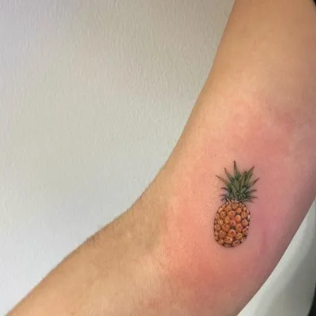What Does a Pineapple Tattoo Mean, What is the secret meaning of a pineapple tattoo, What does the girl with the pineapple tattoo mean, What does a pineapple symbol represent, What does pineapple mean for a girl, pineapple tattoo meaning swinging, pineapple tattoo on wrist, pineapple tattoo on ankle meaning, upside pineapple tattoo meaning, pineapple tattoos,
