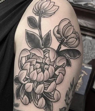 15 Most Beautiful Chrysanthemum Tattoo Designs, Chrysanthemum tattoo minimalist, Chrysanthemum Forearm Tattoo, Delicate Chrysanthemum Tattoo, Blooming Chrysanthemum tattoo, Chrysanthemum Flower Outline tattoo,