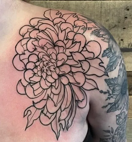15 Most Beautiful Chrysanthemum Tattoo Designs, Chrysanthemum tattoo minimalist, Chrysanthemum Forearm Tattoo, Delicate Chrysanthemum Tattoo, Blooming Chrysanthemum tattoo, Chrysanthemum Flower Outline tattoo,