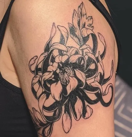 15 Most Beautiful Chrysanthemum Tattoo Designs, Chrysanthemum tattoo minimalist, Chrysanthemum Forearm Tattoo, Delicate Chrysanthemum Tattoo, Blooming Chrysanthemum tattoo, Chrysanthemum Flower Outline tattoo,