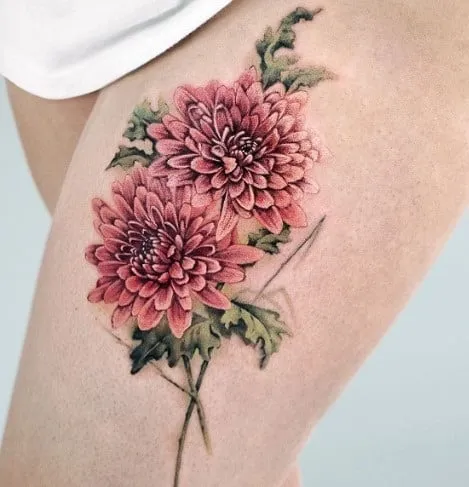 15 Most Beautiful Chrysanthemum Tattoo Designs, Chrysanthemum tattoo minimalist, Chrysanthemum Forearm Tattoo, Delicate Chrysanthemum Tattoo, Blooming Chrysanthemum tattoo, Chrysanthemum Flower Outline tattoo,